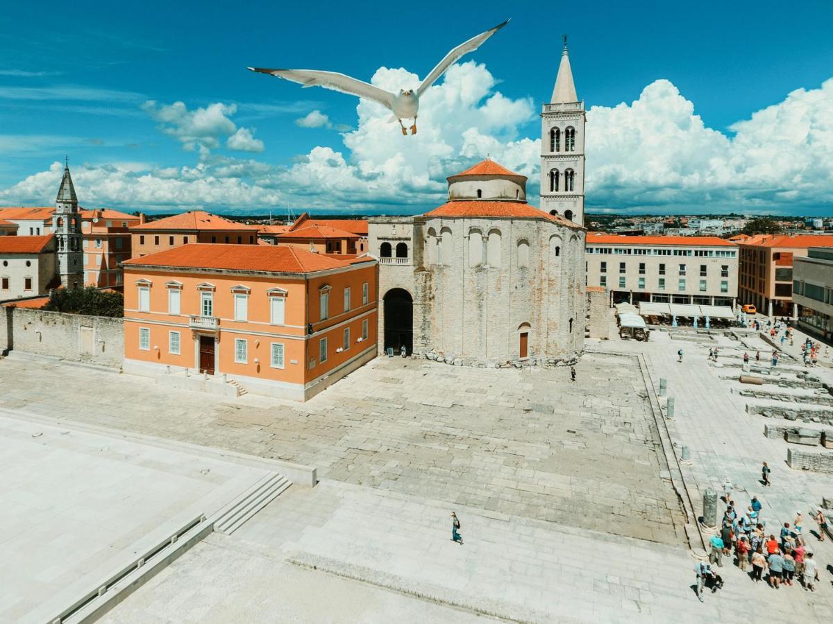 Caisa Classic Beachfront Apartment Zadar Dış mekan fotoğraf